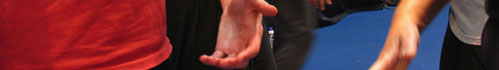 tai chi hands