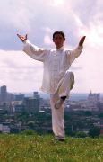 Challenging the 10 Tai Chi Principles - Barry McGinlay