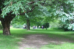 Woodlandpractice