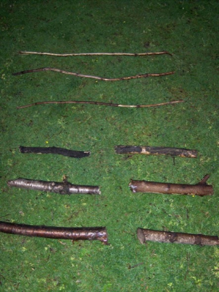 8-2b.jpg