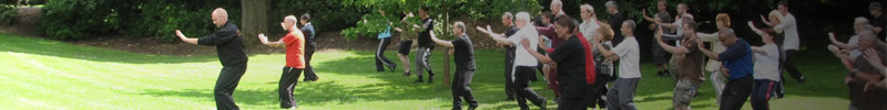 qigong hands