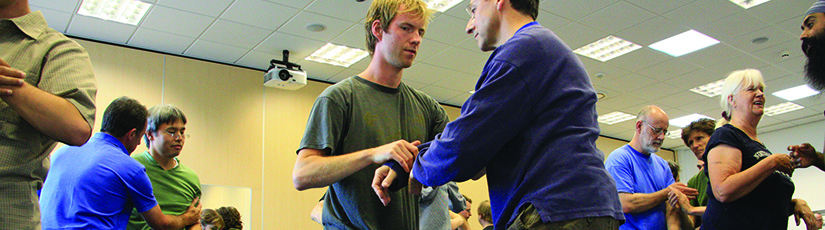 Pushing Hands UK 2011, Workshop with Daan Hengst